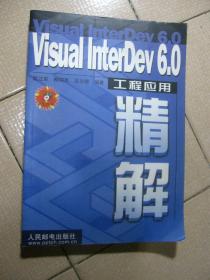 VISUAL INTERDEV 6.0工程应用精解