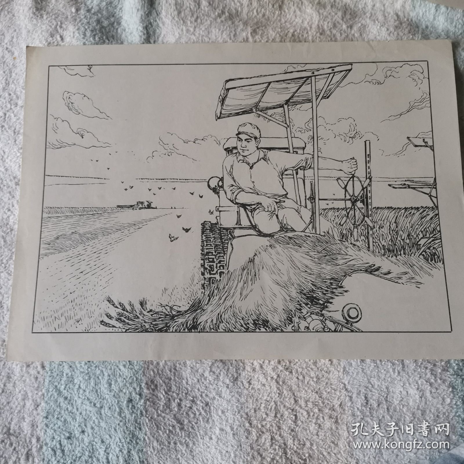 连环画作品选页 《江畔朝阳》之五