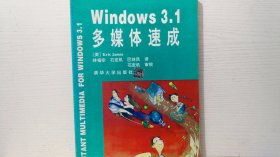 Windows 3.1多媒体速成