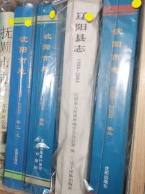 沈阳市志 1986-2005 卷三 沈阳出版社 2010版 正版 现货