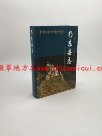 乃东县志 中国藏学出版社 2006版 正版 现货