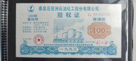 1993年河北省秦皇岛誉洲石油化工股份有限公司股权证