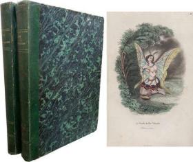 1852年  Les Papillons Metamorphoses Terrestres des Peuples de l'air（2册全）   Varin, Amedee/ Nus, Eug. (Texte par)/ Meray, Antony (Texte par)     Gabriel de Gonet, Editeur, Paris   1852年