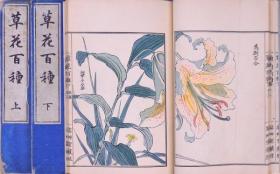 草花百种   元版   全4册   1901年