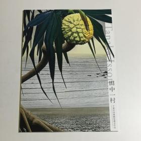 田中一村展   千叶市美术馆收藏全部作品