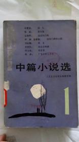 1982中篇小说选1