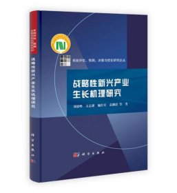 系统评估、预测、决策与优化研究论丛：战略性新兴产业生长机理研究