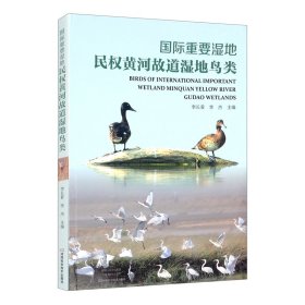 国际重要湿地民权黄河故道湿地鸟类 河南科学技术出版社