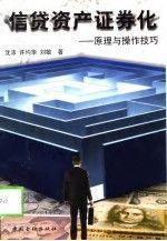 信贷资产证券化--原理与操作技巧中国金融出版社9787504920508