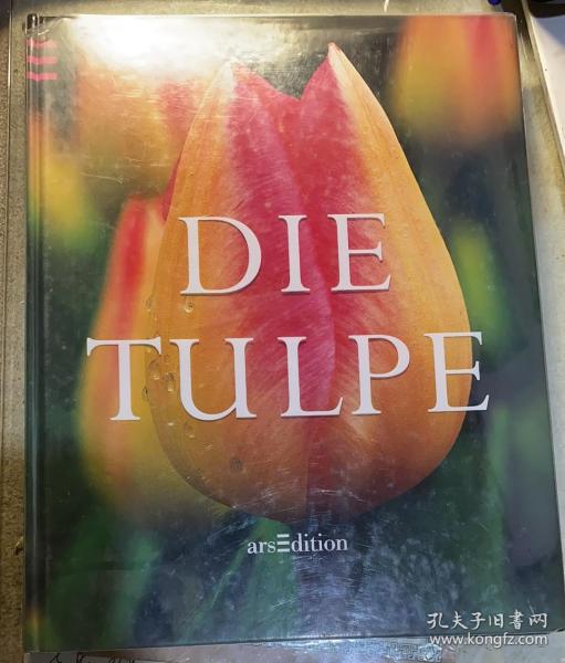 德文原版:《DIE  TULPE》 ( 郁金香) 精装本。精美摄影册。里面都是郁金香的照片。