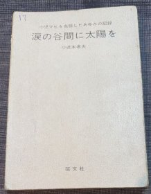 日文原版《涙の谷間に太陽を -小児マヒを克服したあゆみの記録》（泪之谷间的太阳 - 克服小儿麻痹的历程记录）