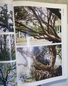 《艺用树形资料》植物摄影集