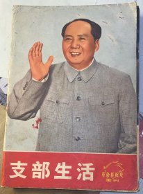 《支部生活》上海，1970年第28期《革命样板戏画刊》，内有：革命现代京剧《智取威虎山》《红灯记》、革命现代舞剧《红色娘子军》剧照。