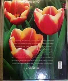德文原版:《DIE  TULPE》 ( 郁金香) 精装本。精美摄影册。里面都是郁金香的照片。