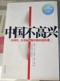 《中国不高兴：大时代大目标及我们的内忧外患》