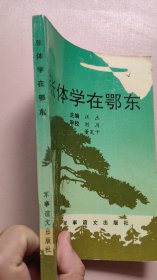 张体学在鄂东