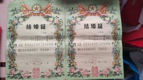 1958年洪湖县结婚证一对