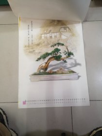 2002年中国盆景挂历