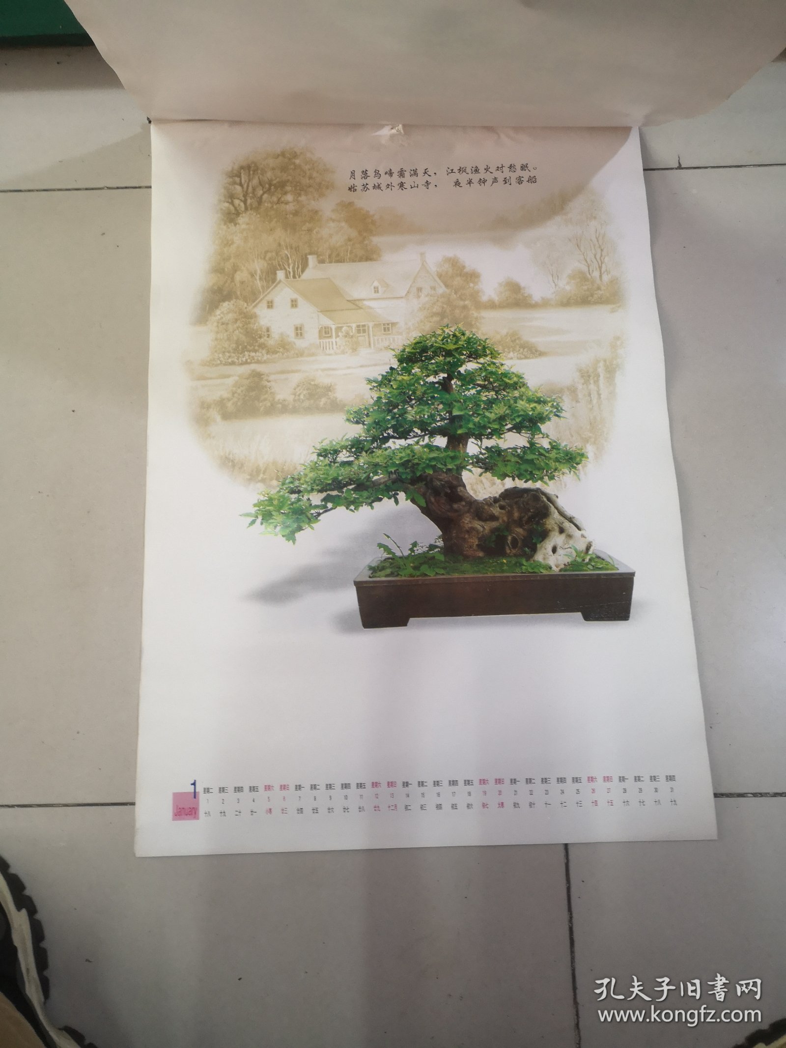 2002年中国盆景挂历