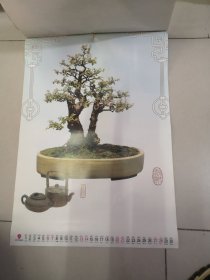2003年盆艺佳景挂历