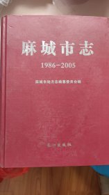 麻城市志 1986-2005