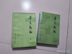 鲁志新编 （上下两册）