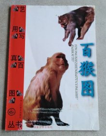 百猴图