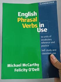 English Phrasal Verbs in Use