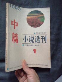 中篇小说选刊199301