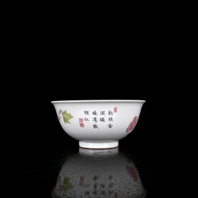 清雍正粉彩过枝花卉纹碗 尺寸：7*15厘米 价格1380