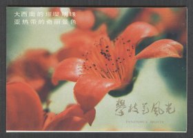 【明信片】《攀枝花风光》_攀枝花旅游公司（10全）