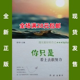 你只是看上去很努力   郭婷  全新正版  全场满28元包邮  9787505147300