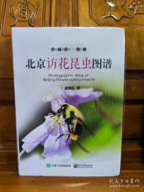 北京访花昆虫图谱