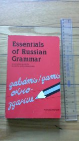 essentials of Russian grammar a complete guide for students and professionals