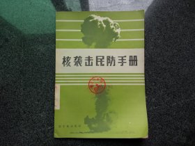 核袭击民防手册