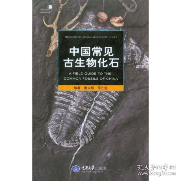 中国常见古生物化石