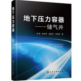 地下压力容器——储气井