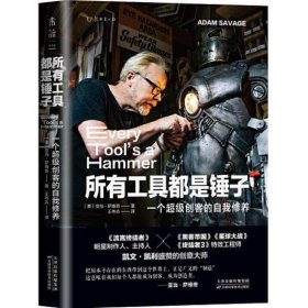 所有工具都是锤子：一个超级创客的自我修养（《流言终结者》制作人、主持人创意工作手册）