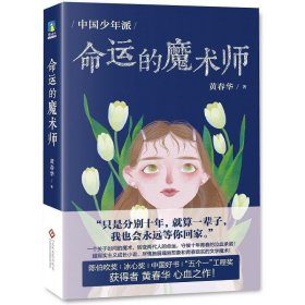 中国少年派：命运的魔术师(儿童读物)