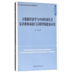 大数据经济学与中国经济社会复杂系统动态CGE模型构建及应用