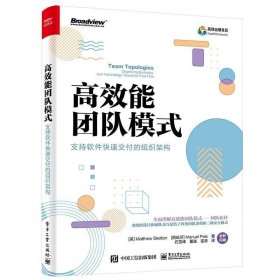 高效能团队模式：支持软件快速交付的组织架构（全彩）