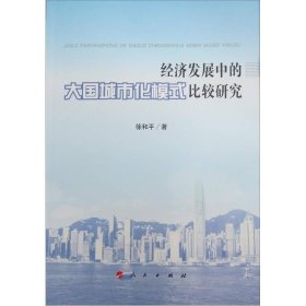 经济发展中的大国城市化模式比较研究