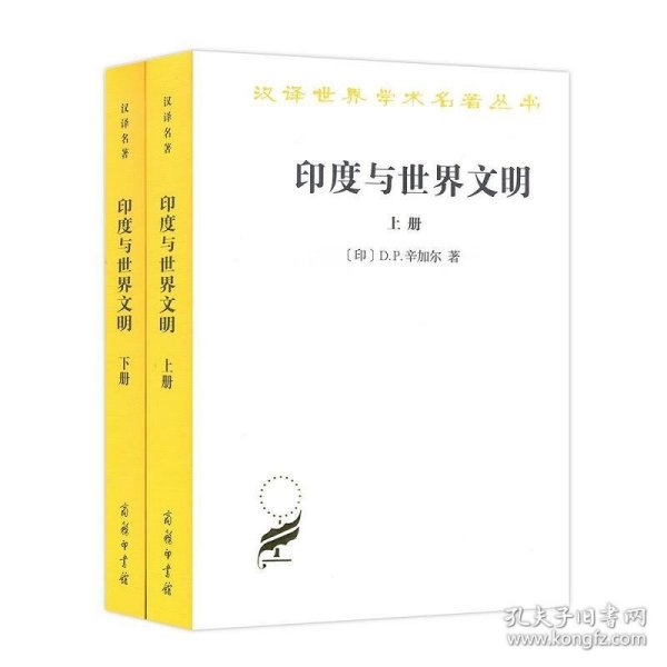 汉译名著本17：印度与世界文明（套装共2册）