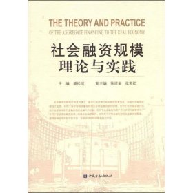 社会融资规模理论与实践