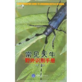 好奇心书系·野外识别手册：常见天牛野外识别手册