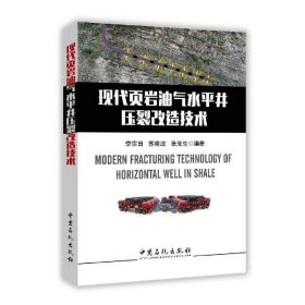 现代页岩油气水平井压裂改造技术