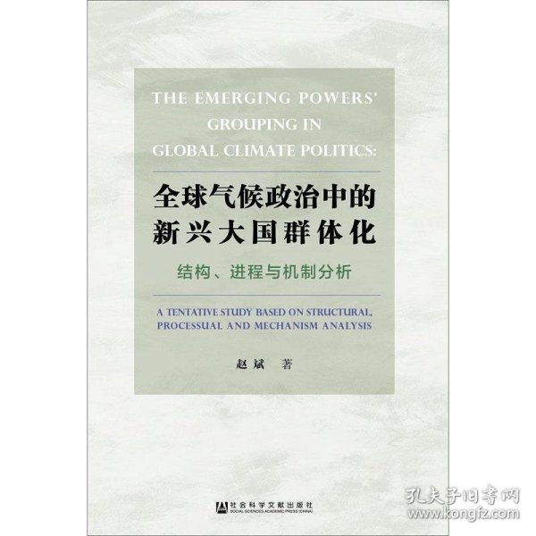 全球气候政治中的新兴大国群体化——结构、进程与机制分析