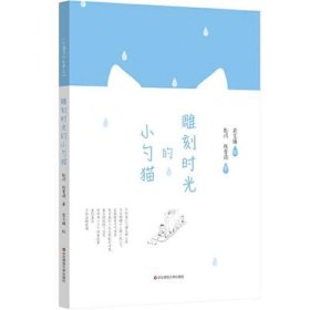 雕刻时光的小勺猫