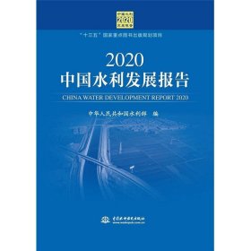 2020中国水利发展报告