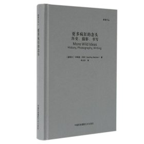 更多疯狂的念头：历史、摄影、书写（影像文丛系列）